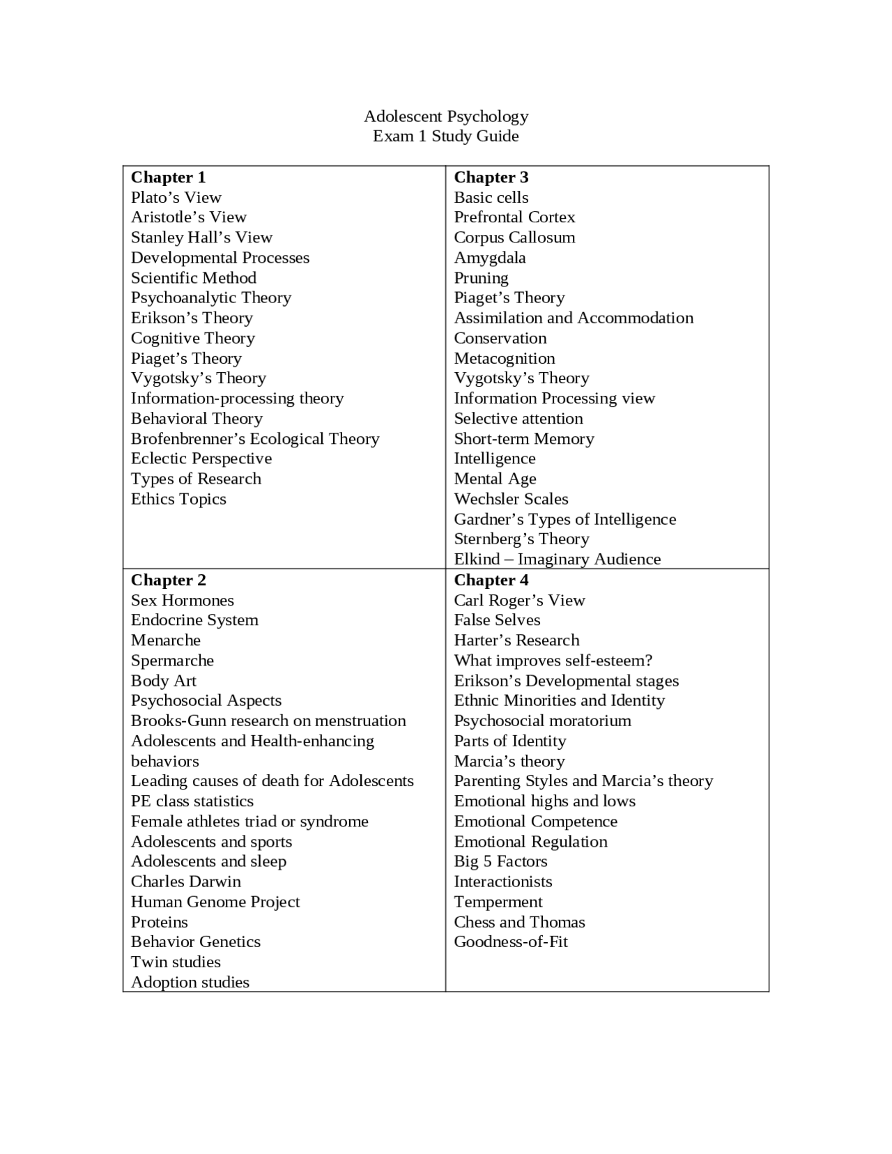 vygotsky information processing theory