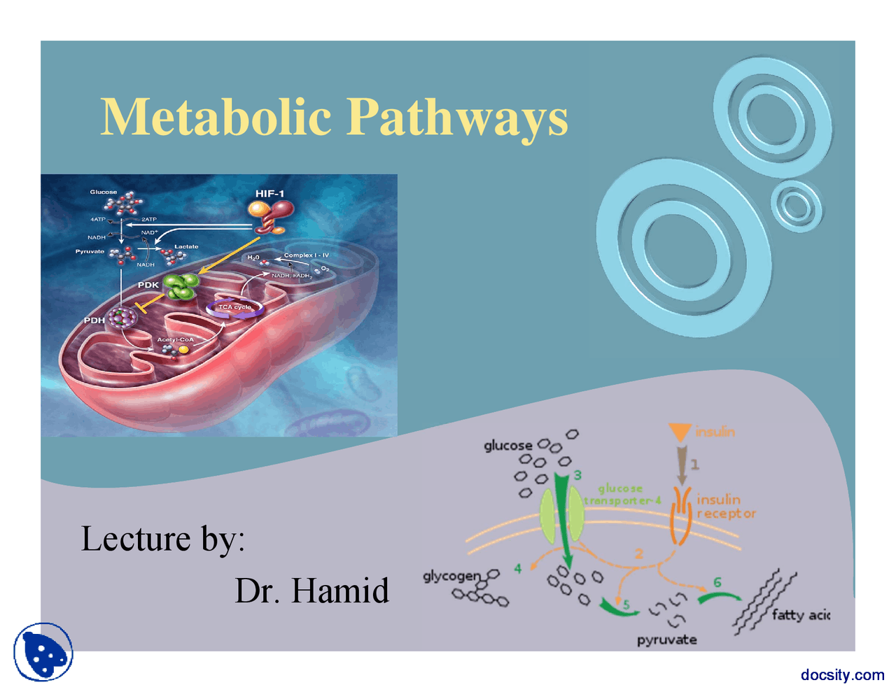 Metabolic Pathways Part 1-Advanced Systems Biology-Lecture Slides - Docsity