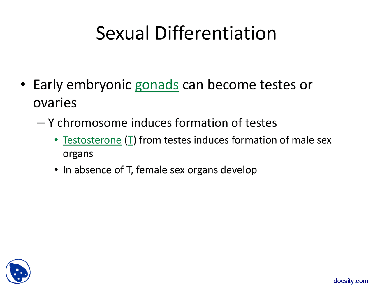 PseudohermaphroditismCell BiologyLecture Slides Docsity