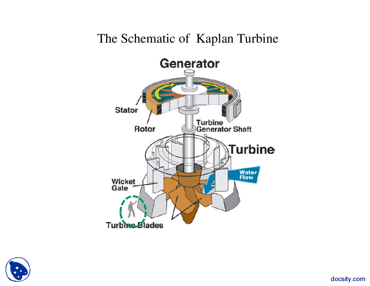 The Schematic of Kaplan Turbine-Turbomecines-Lecture Slides - Docsity