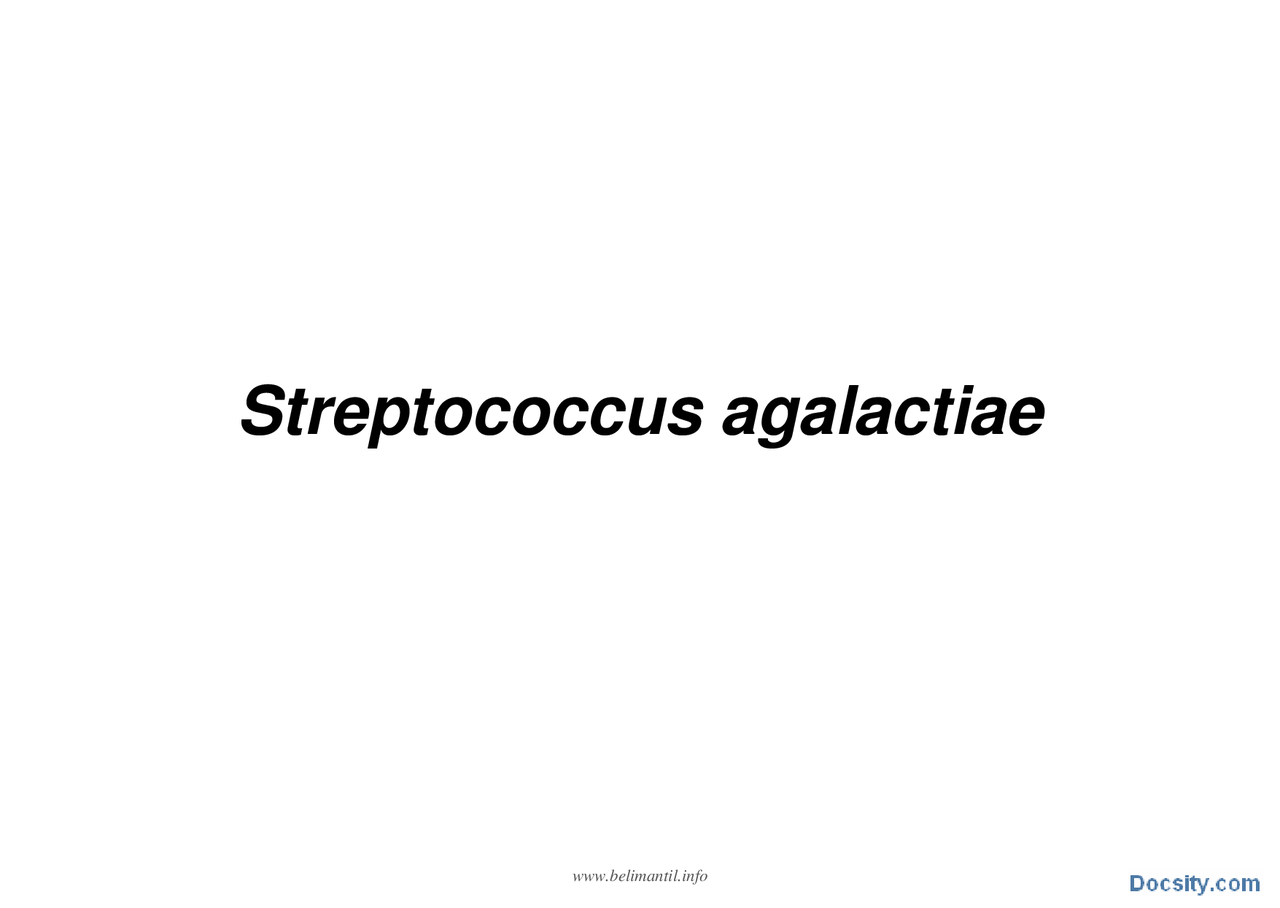Streptococcus agalactiae-Slajdovi-Bakteriologija-Medicina | Slajdovi ...