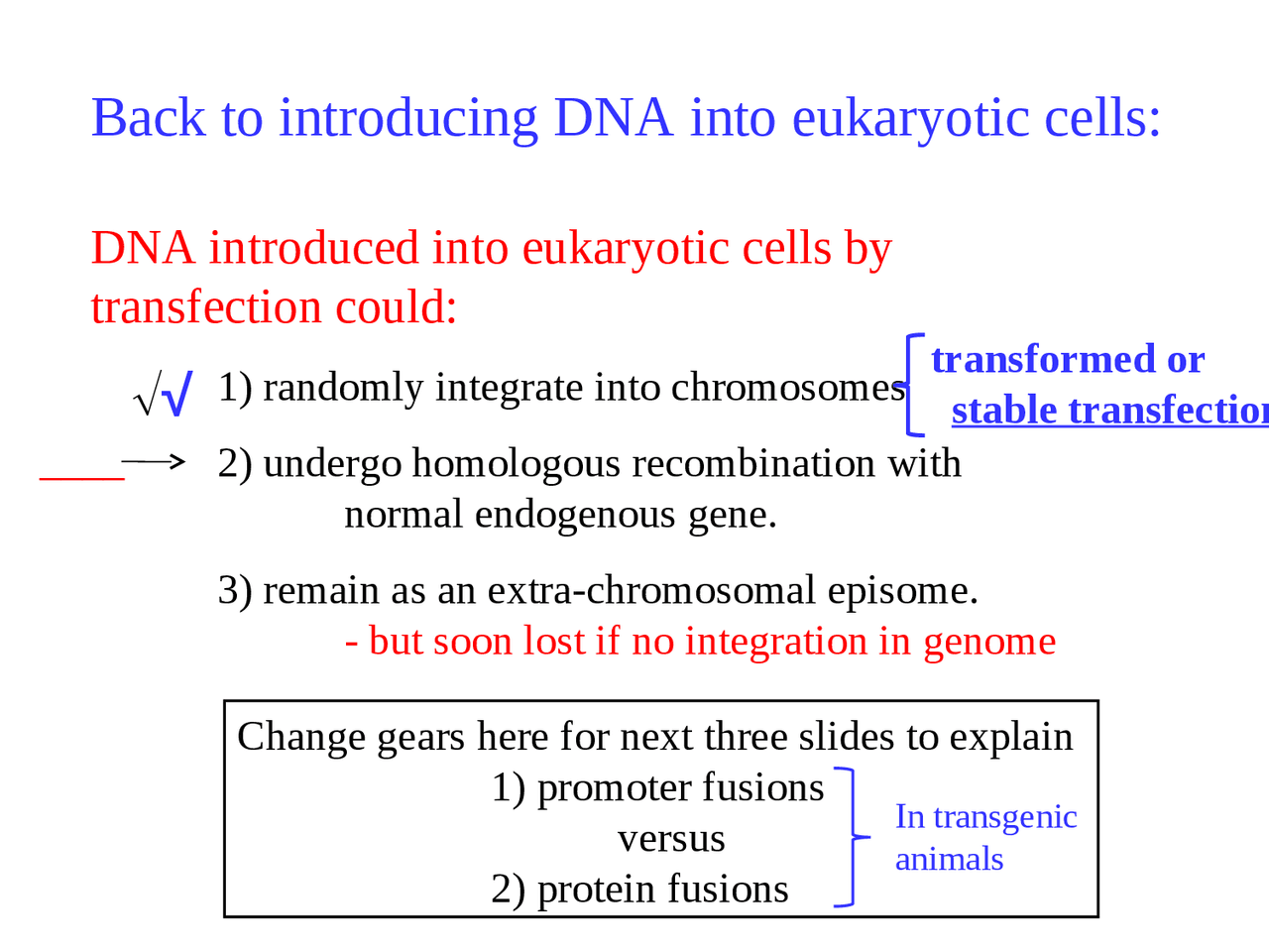 Back to Introducing DNA into Eukaryotic Cell - Cell Biology | BIOL 3090 ...