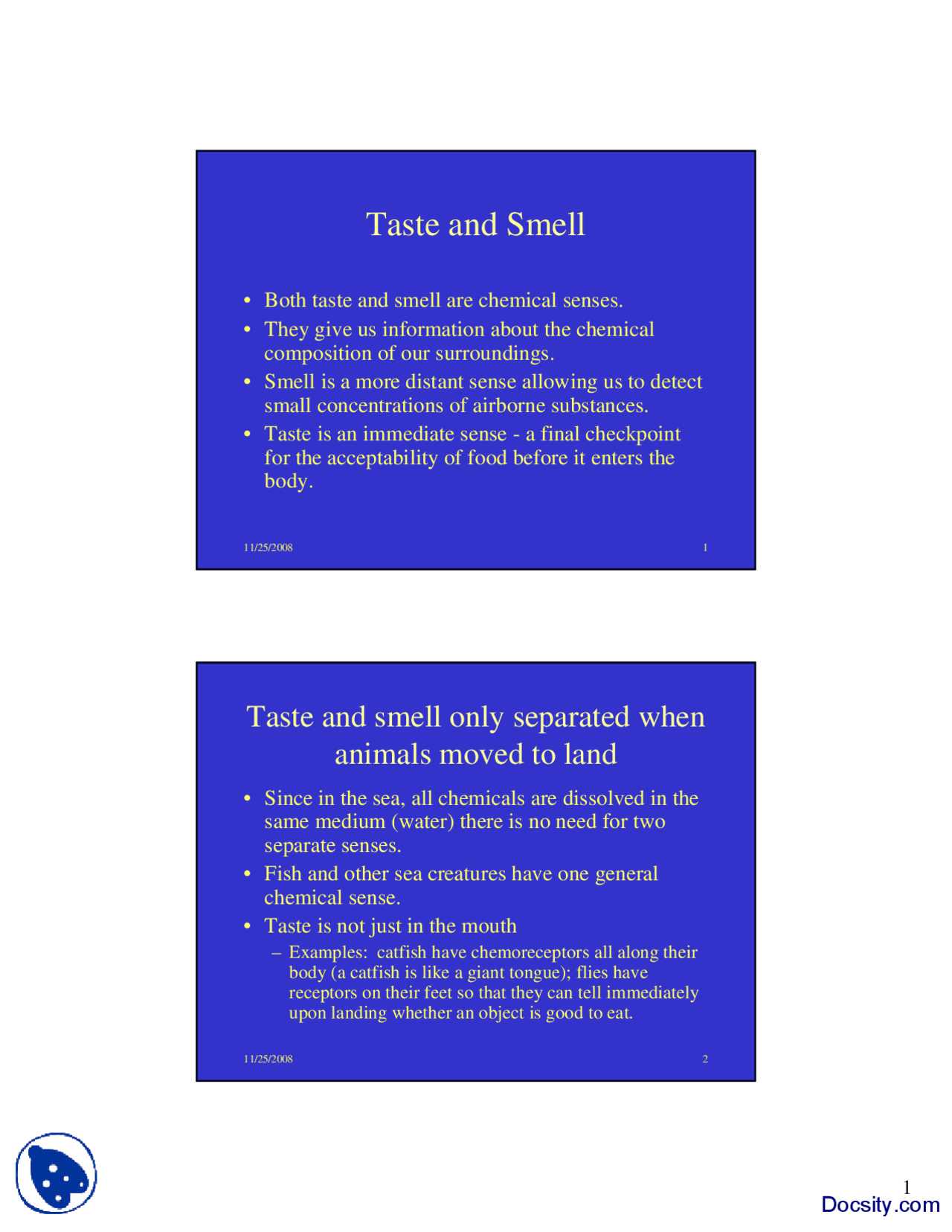 Understanding Taste and Smell: The Chemical Senses | Slides Brain and ...