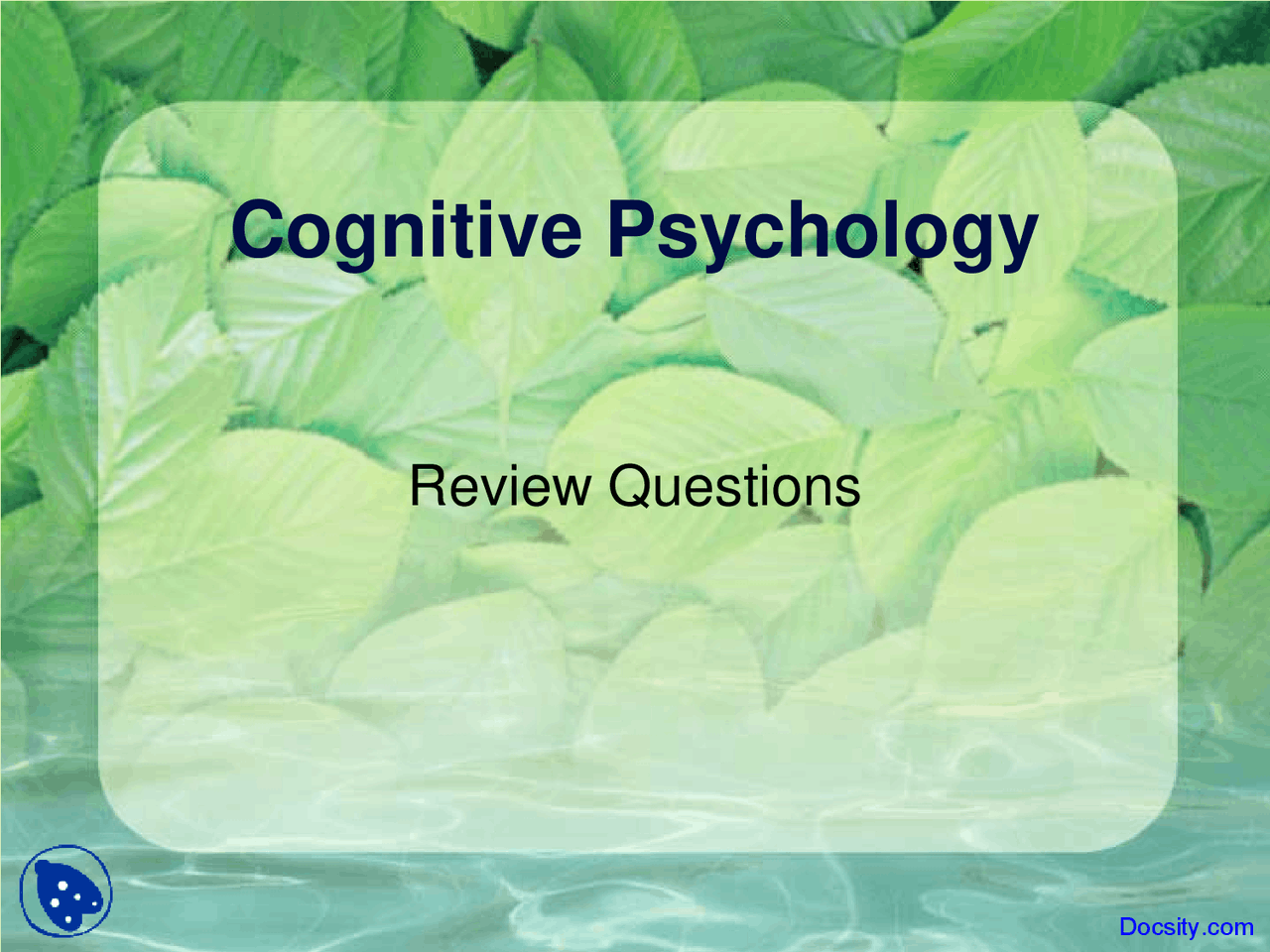 Neuroscience Questions - Cognitive Psychology - Lecture Slides - Docsity
