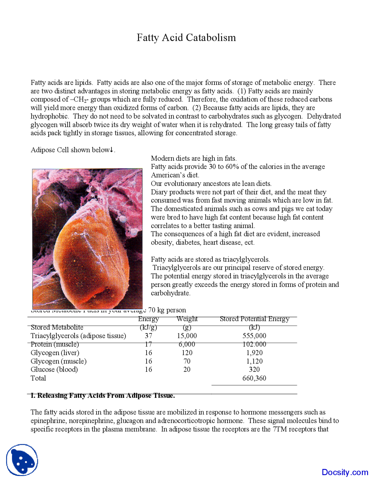 Fatty Acid Catabolism - Biochemistry - Lecture Notes | Study notes ...