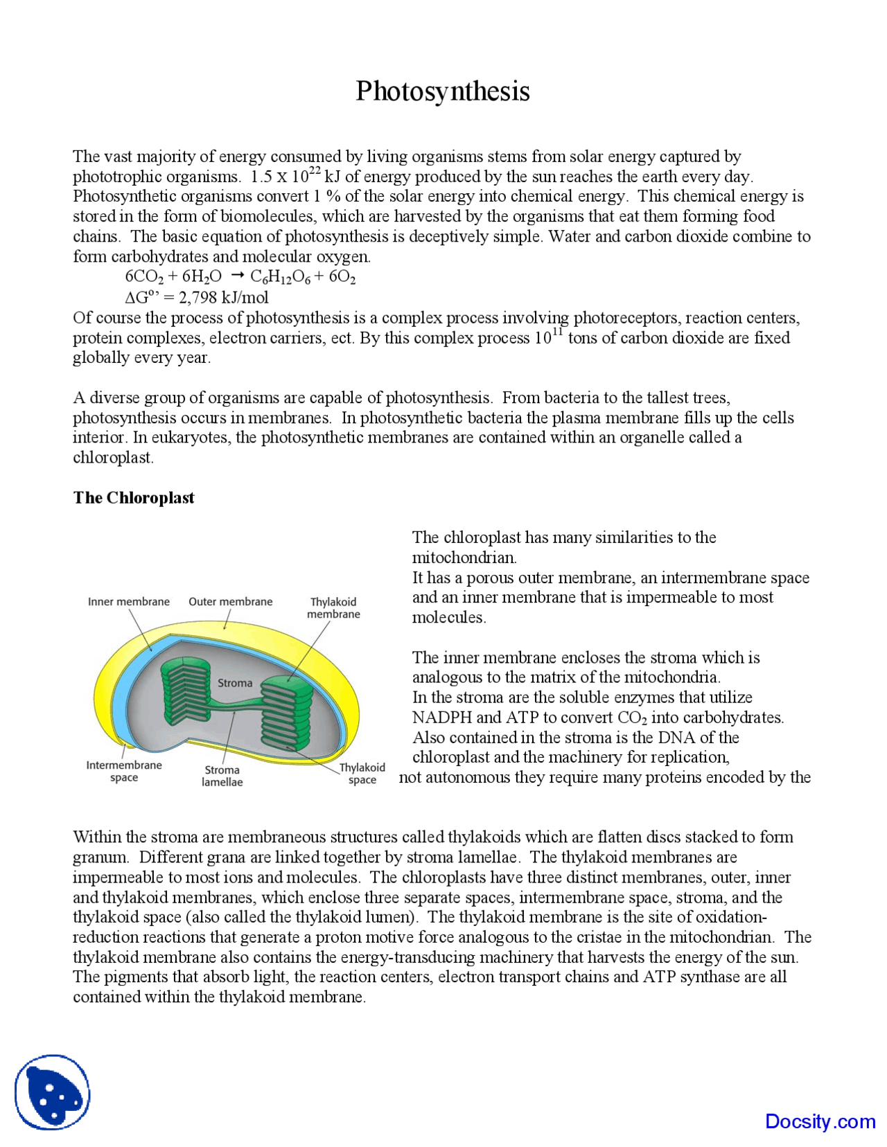 Photosynthesis - Biochemistry - Lecture Notes | Study notes ...