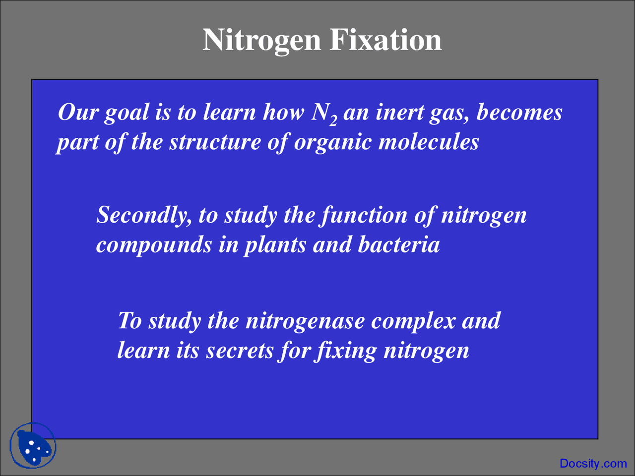 Nitrogen Fixation Biochemistry Lecture Slides Docsity