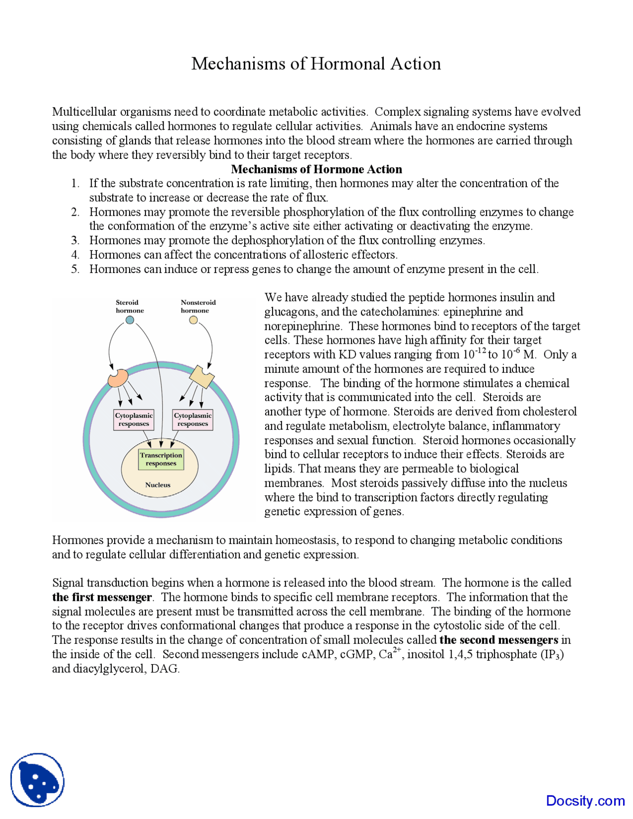 Mechanisms of Hormonal Action - Biochemistry - Lecture Notes | Study ...