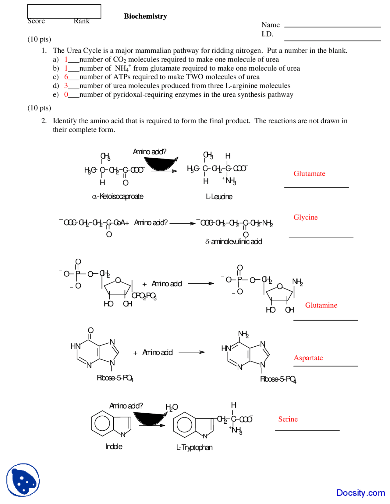 Identify the Amino Acid Biochemistry Exam Docsity