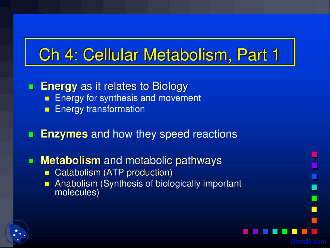 Cellular Metabolism, Energy and Enzymes - Human Physiology - Lecture ...