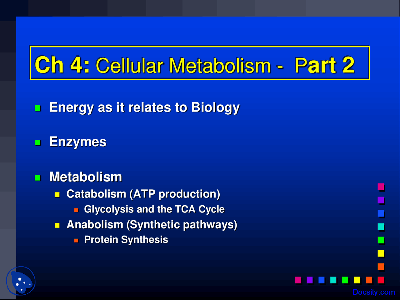 Cellular Metabolism - Human Physiology - Lecture Slides | Slides Human ...