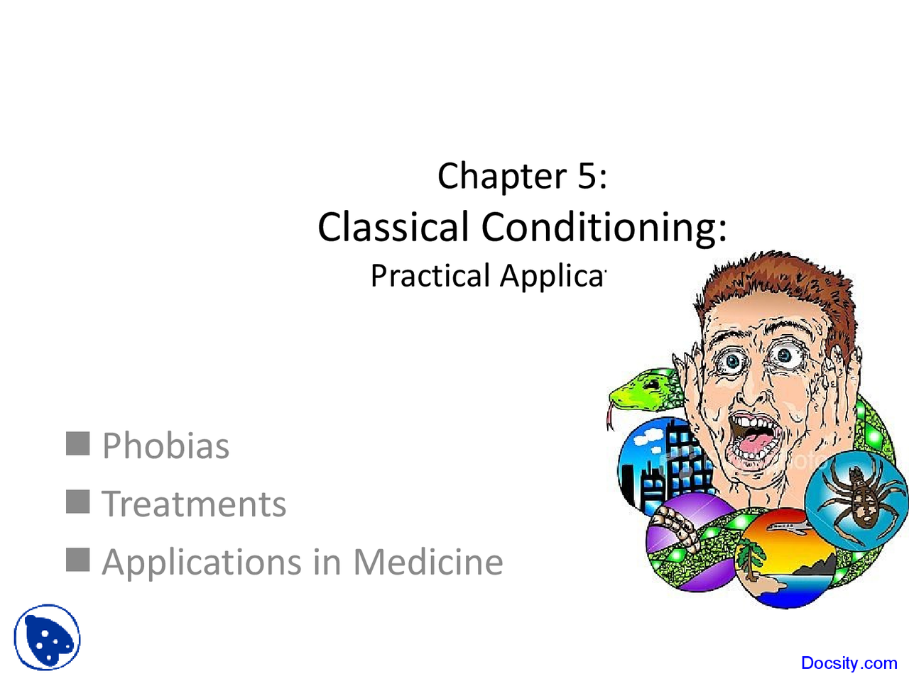 Conditional Learning Education Practical Applications - Conditional Learning - Lecture Slides - Docsity