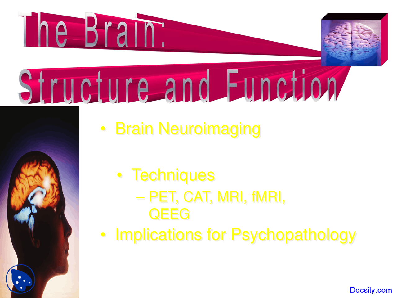 Brain Structure And Function Mind Psychology Lecture Slides Docsity Brain Structure And Function Mind Psychology Lecture Slides Docsity