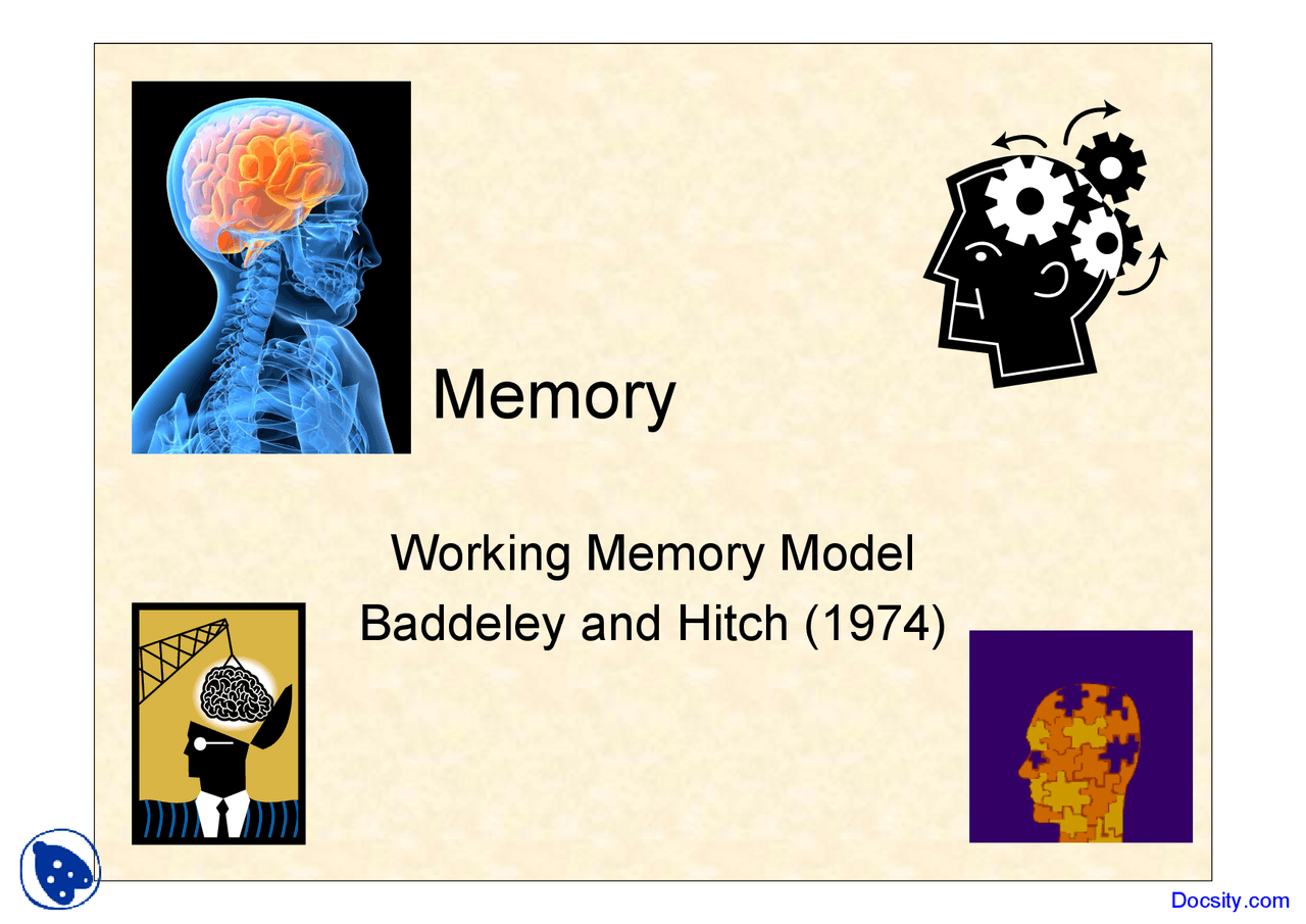 Working Memory Model - Research Methods in Psychology - Lecture Slides ...
