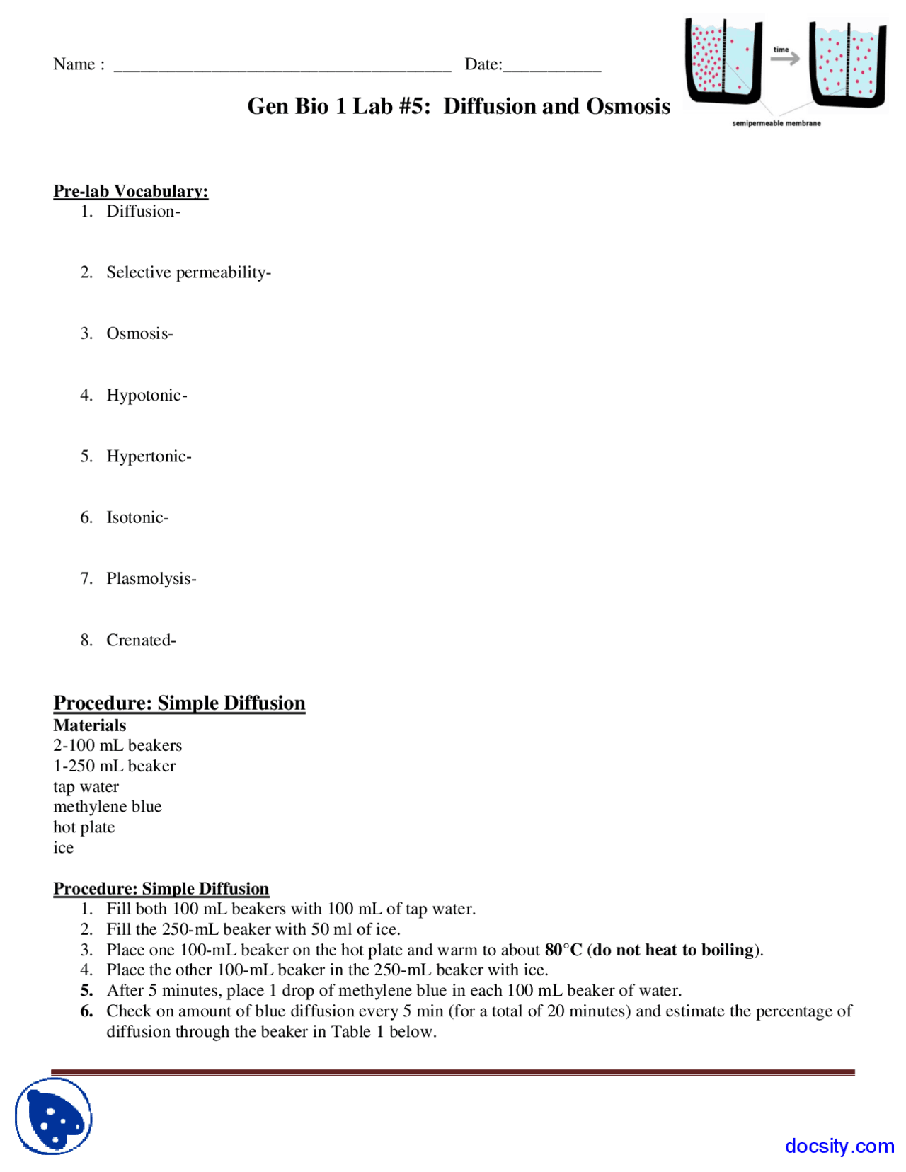 Diffusion and Osmosis - Biology - Lab Manual | Study notes Biology ...