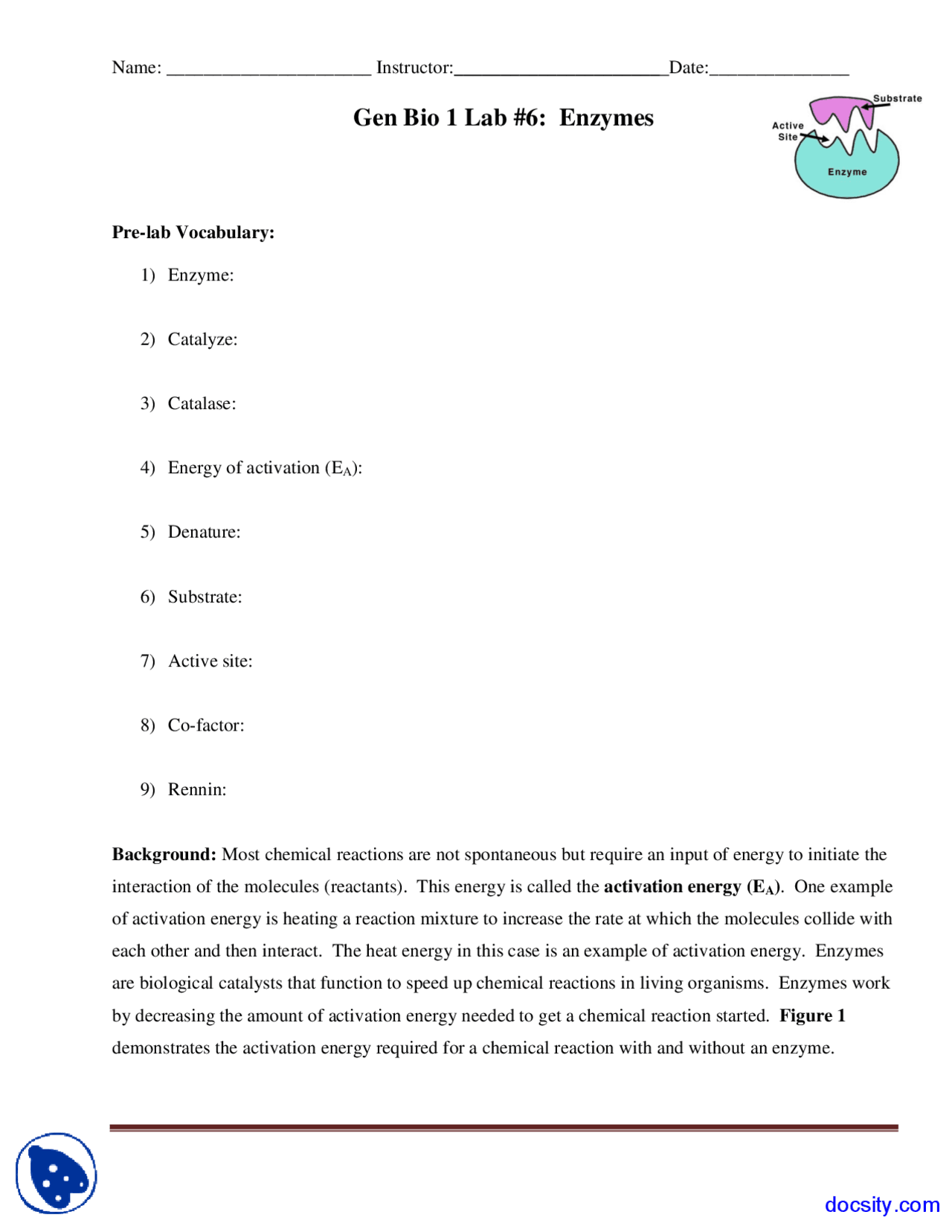 Enzymes - Biology - Lab Manual - Docsity