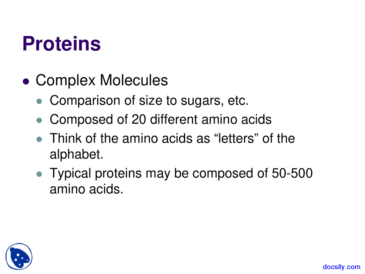 Protein Structure and Function Biology Lecture Slides Docsity