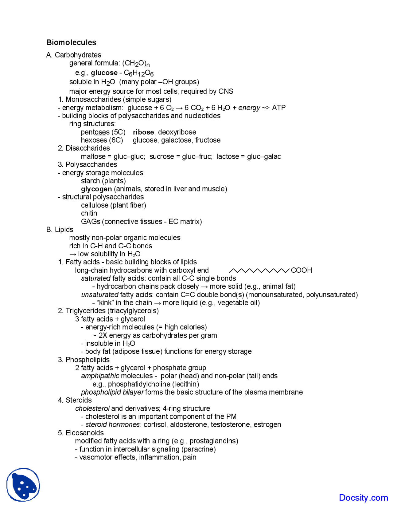 Biomolecules - Human Physiology - Lecture Notes - Docsity