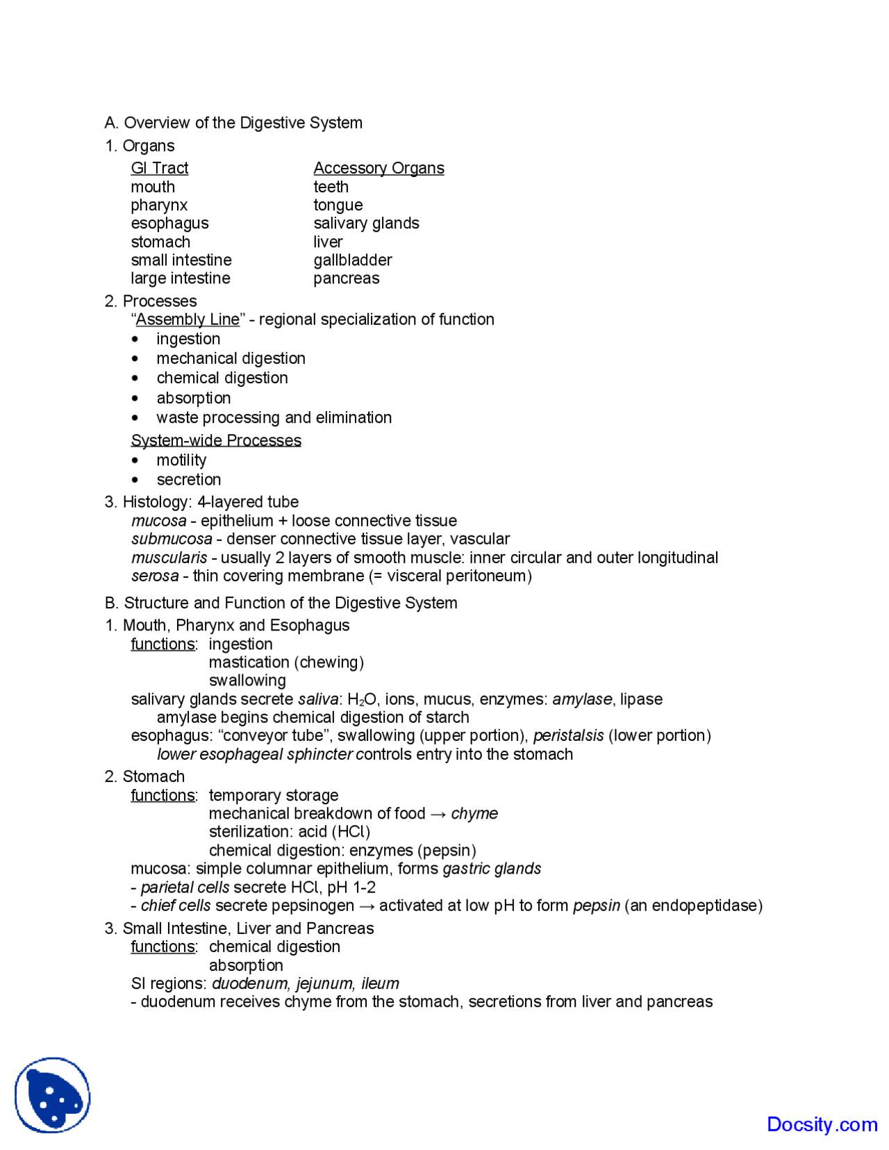 Digestive System - Zoology - Lecture Notes - Docsity