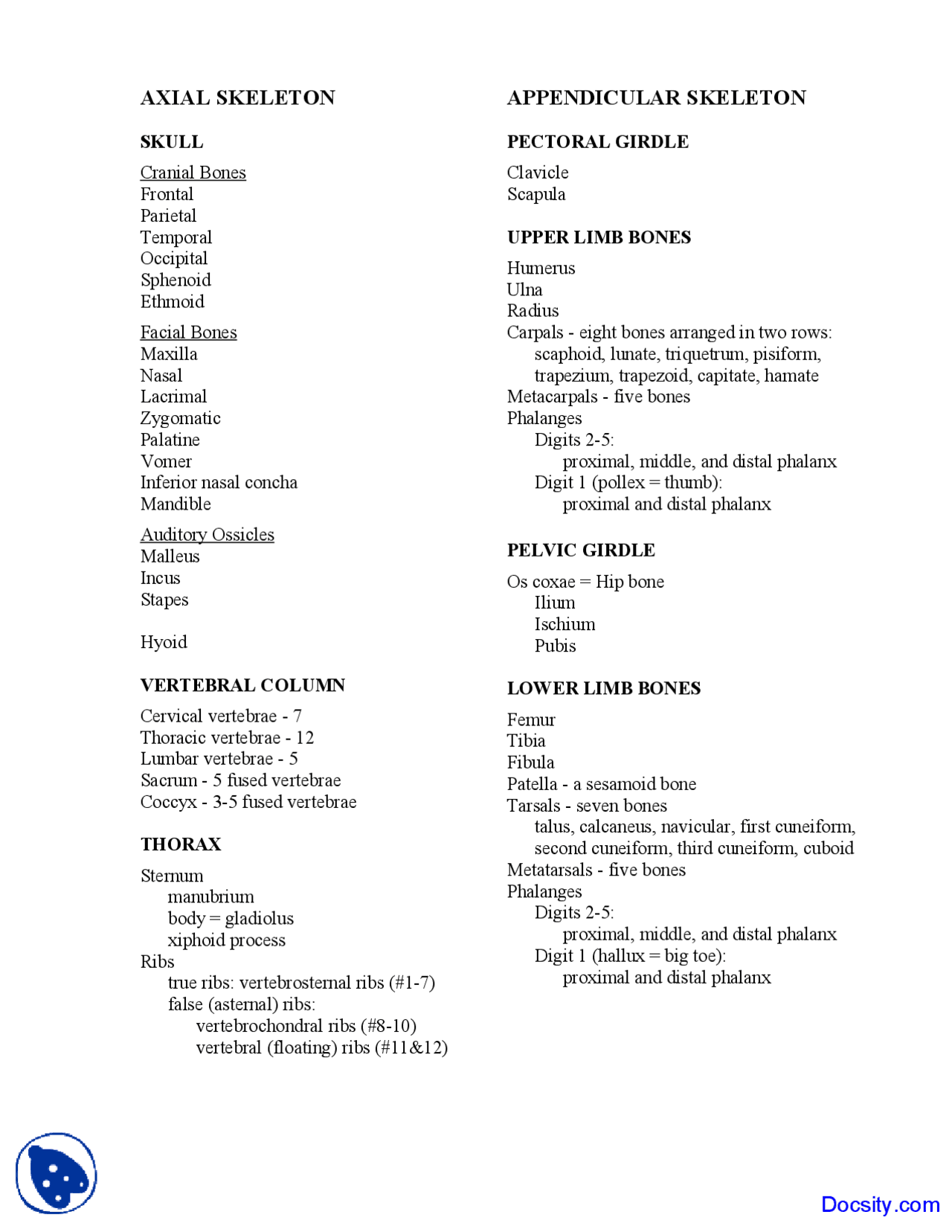 Axial Skeleton - Human Anatomy - Handout - Docsity