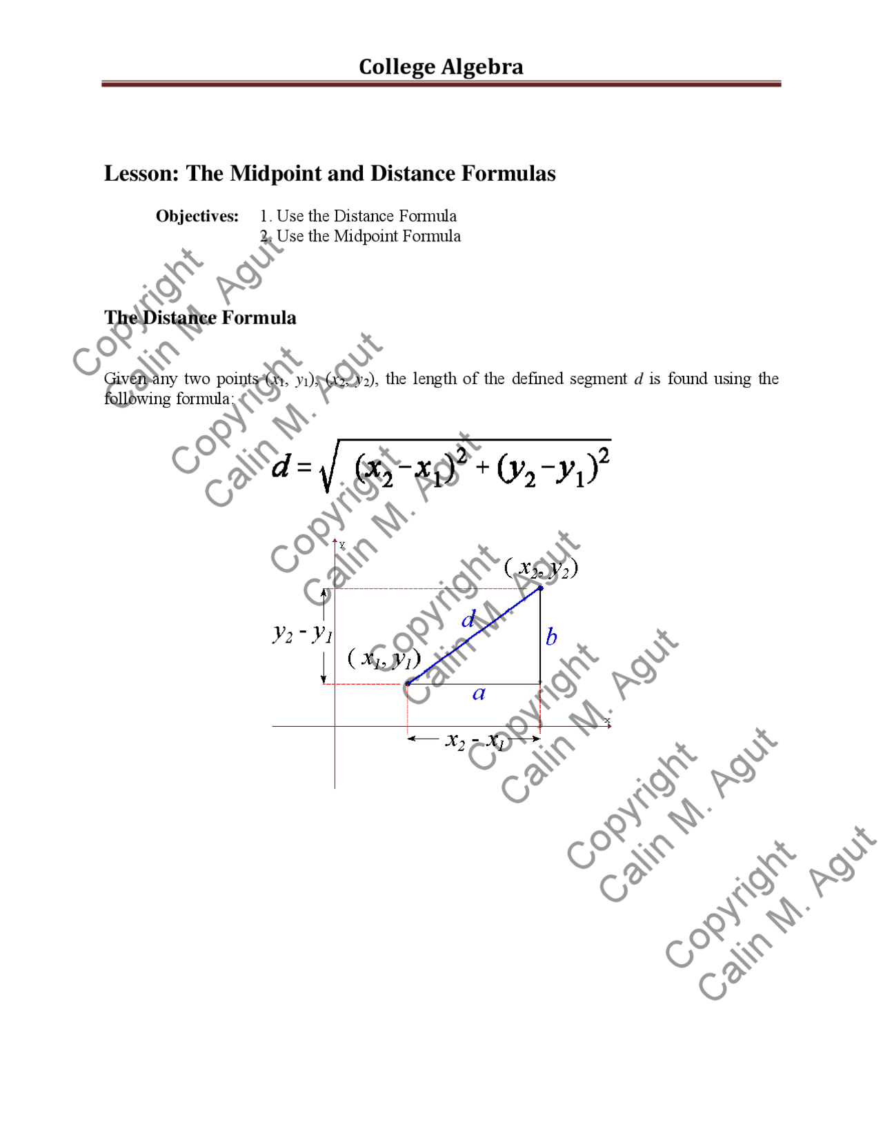 The Distance Formula - Algebra - Lecture Notes - Docsity