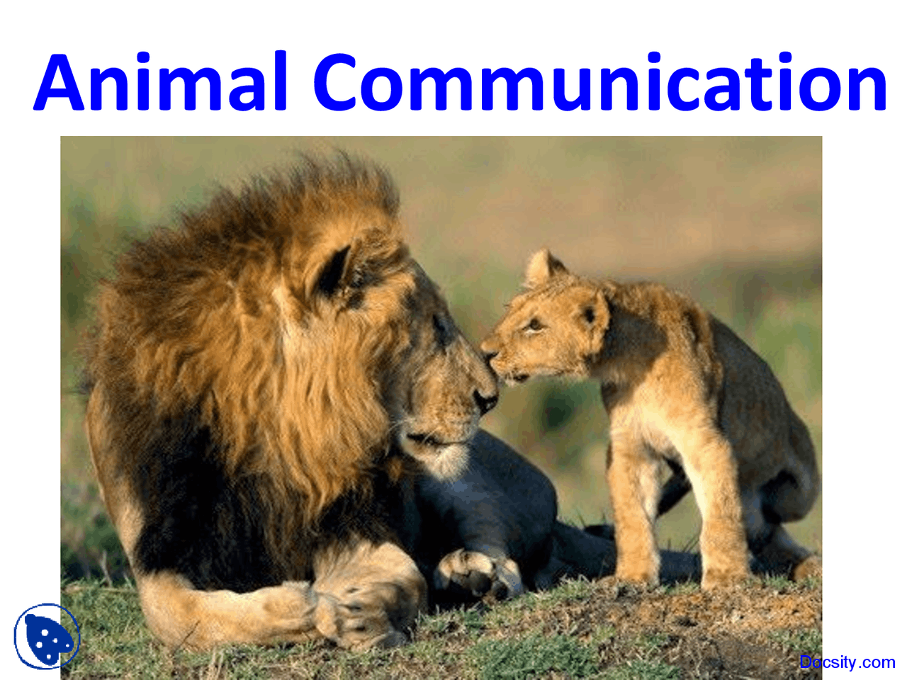 Animal Communication - Biology of Animals - Lecture Slides - Docsity