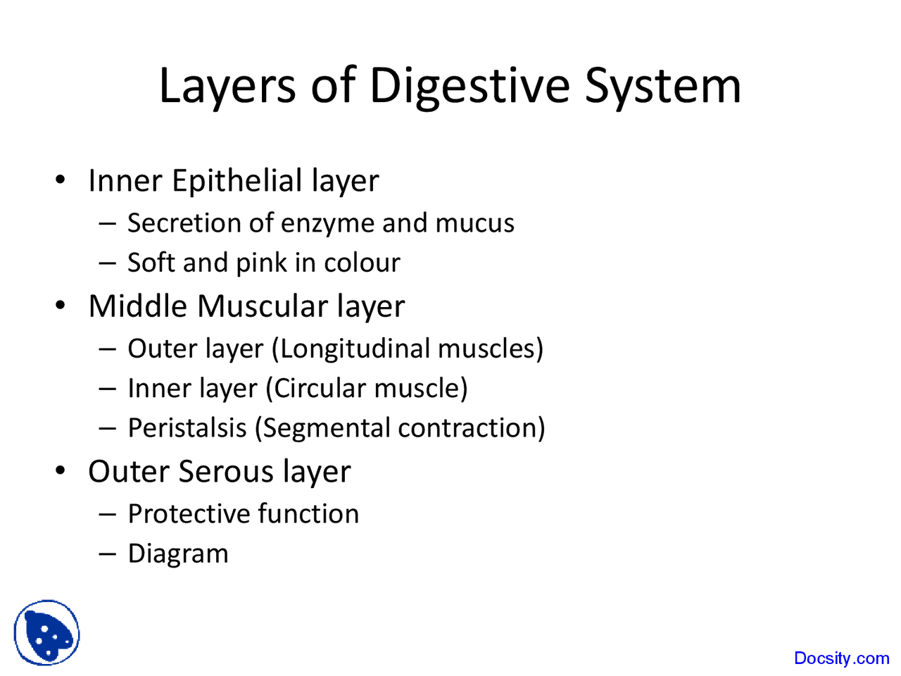 Layers of Digestive System - Introduction to Human Physiology - Lecture ...