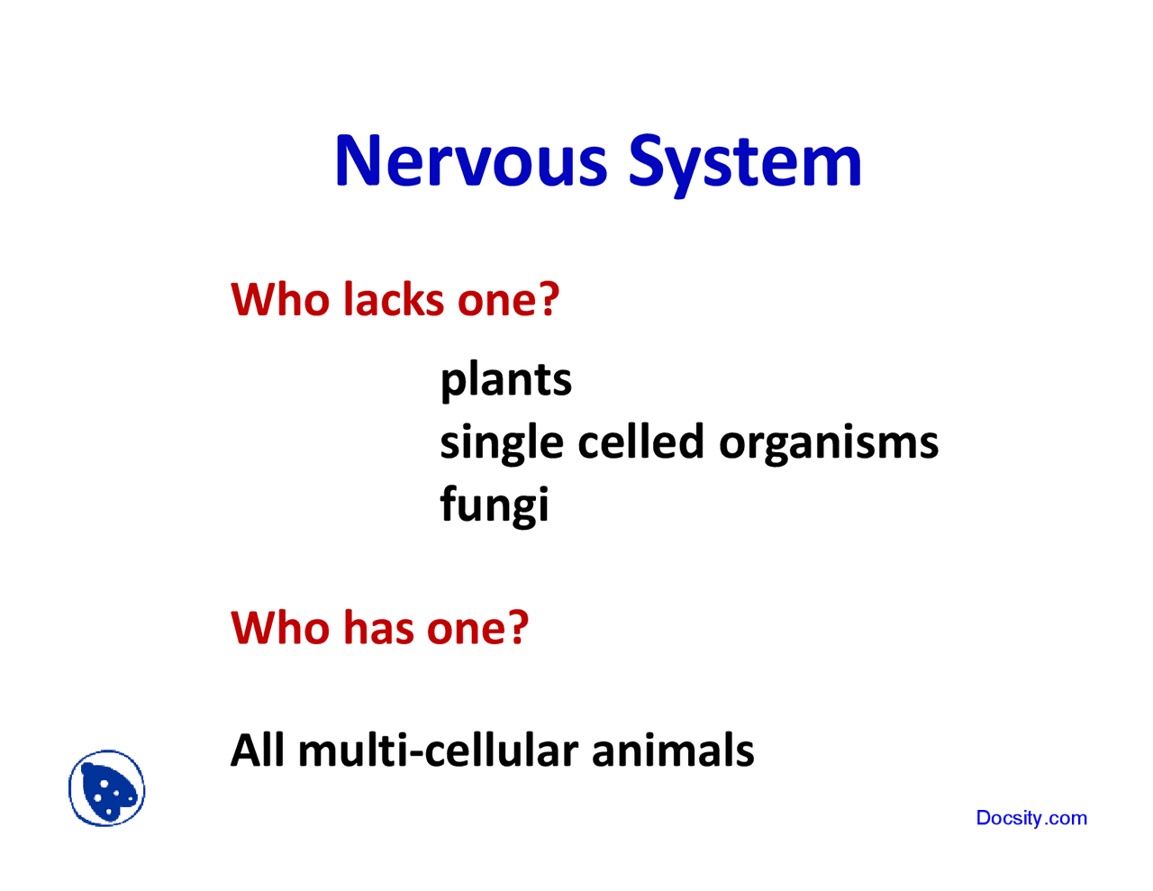 Nervous System - Fundamentals of Human Biology - Lecture Slides - Docsity