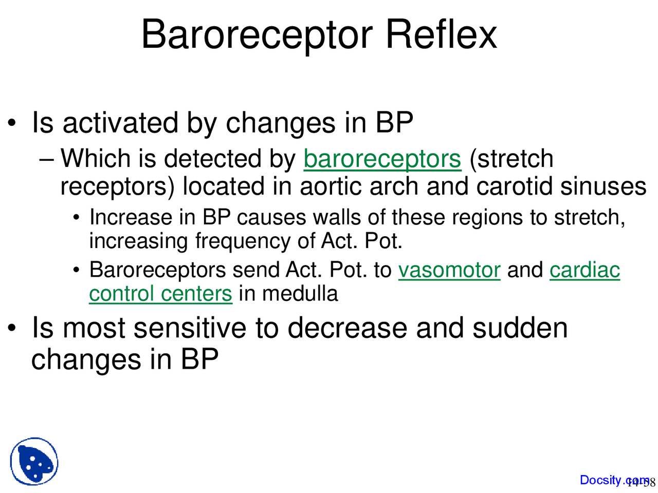Baroreceptor Reflex - Introduction to Human Physiology - Lecture Slides ...