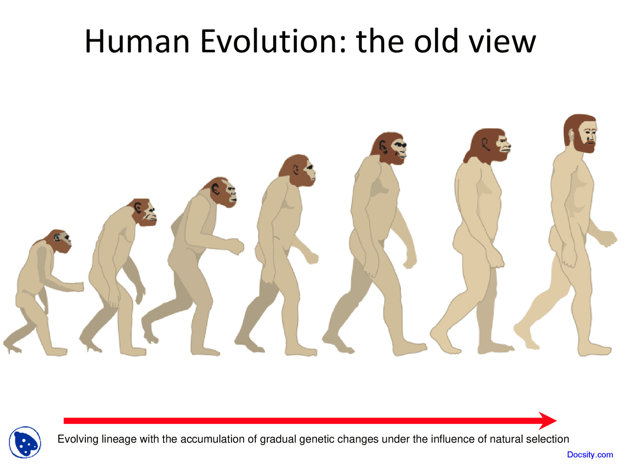 Human Evolution - Requirements for Growth and Reproduction - Lecture ...