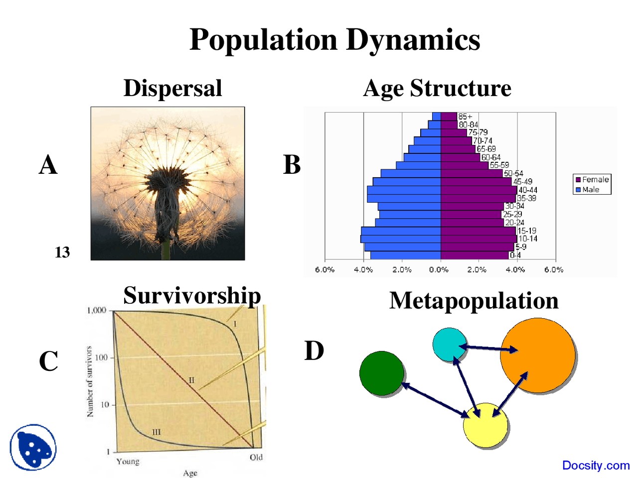 Population Dynamics Fill In Population Dynamics - Ecology - Lecture Slides - Docsity