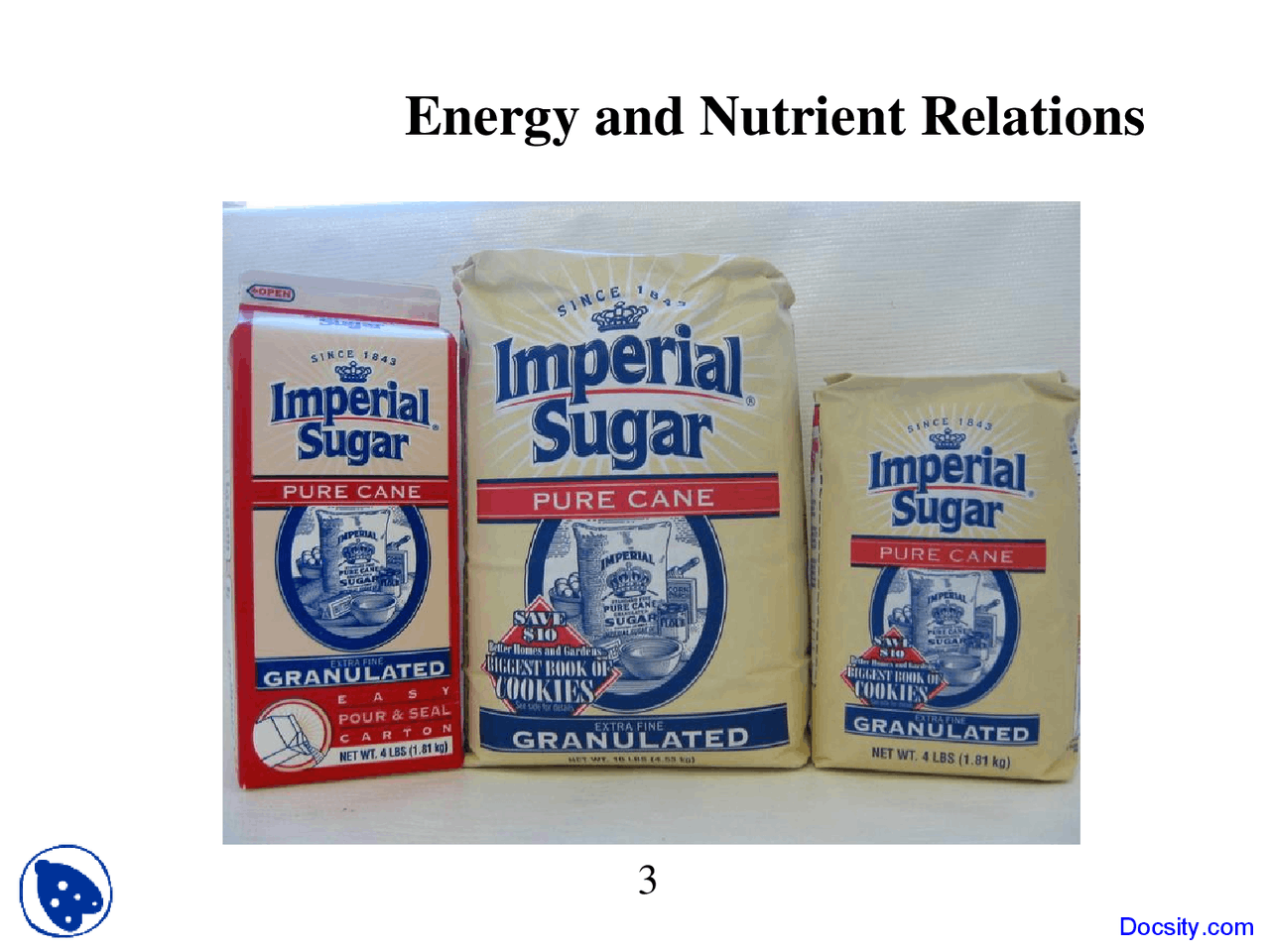 Energy and Nutrient Relations Ecology Lecture Slides Docsity