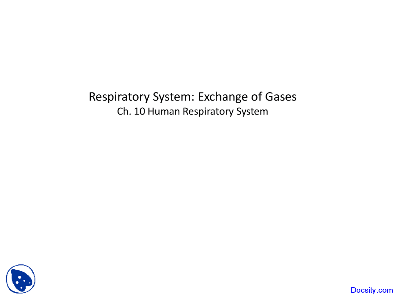 Respiratory System - Biological Anthropology - Lecture Slides - Docsity