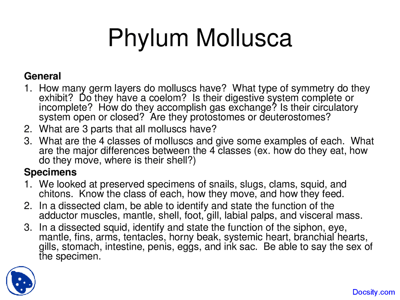 Molluscs and Arthropods: Anatomy and Characteristics | Slides Biology ...