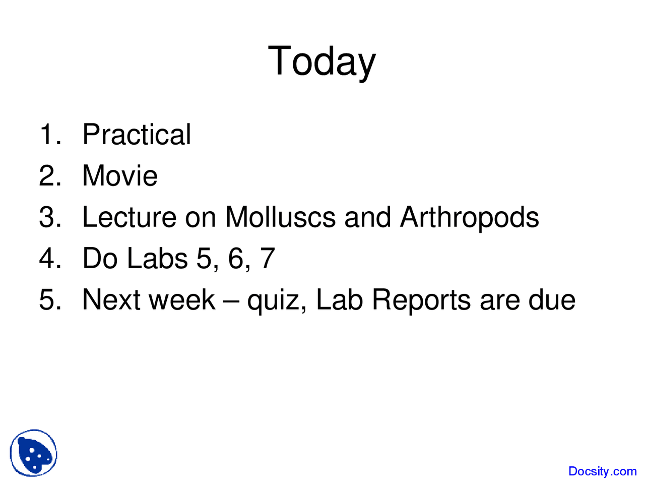 Molluscs and Arthropods - Biology of Organisms - Lecture Slides - Docsity