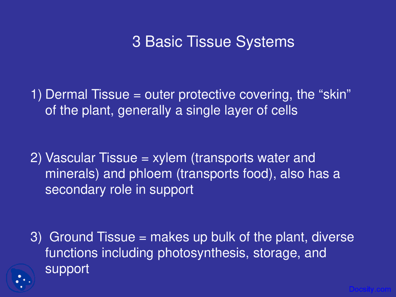Basic Tissue Systems - Biology of Organisms - Lecture Slides - Docsity