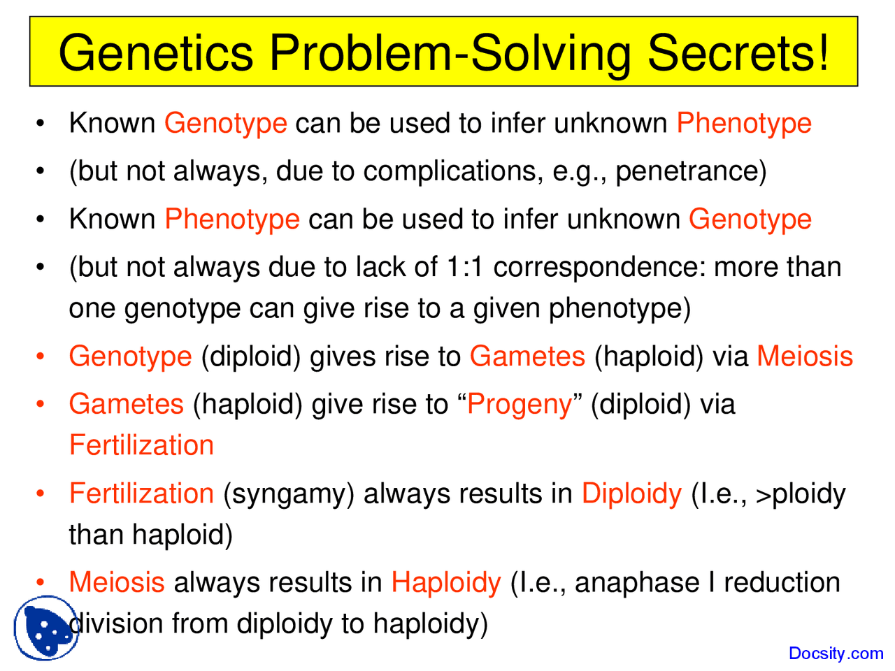 Genetics Problem Solving - Introduction to Biology - Lecture Slides ...