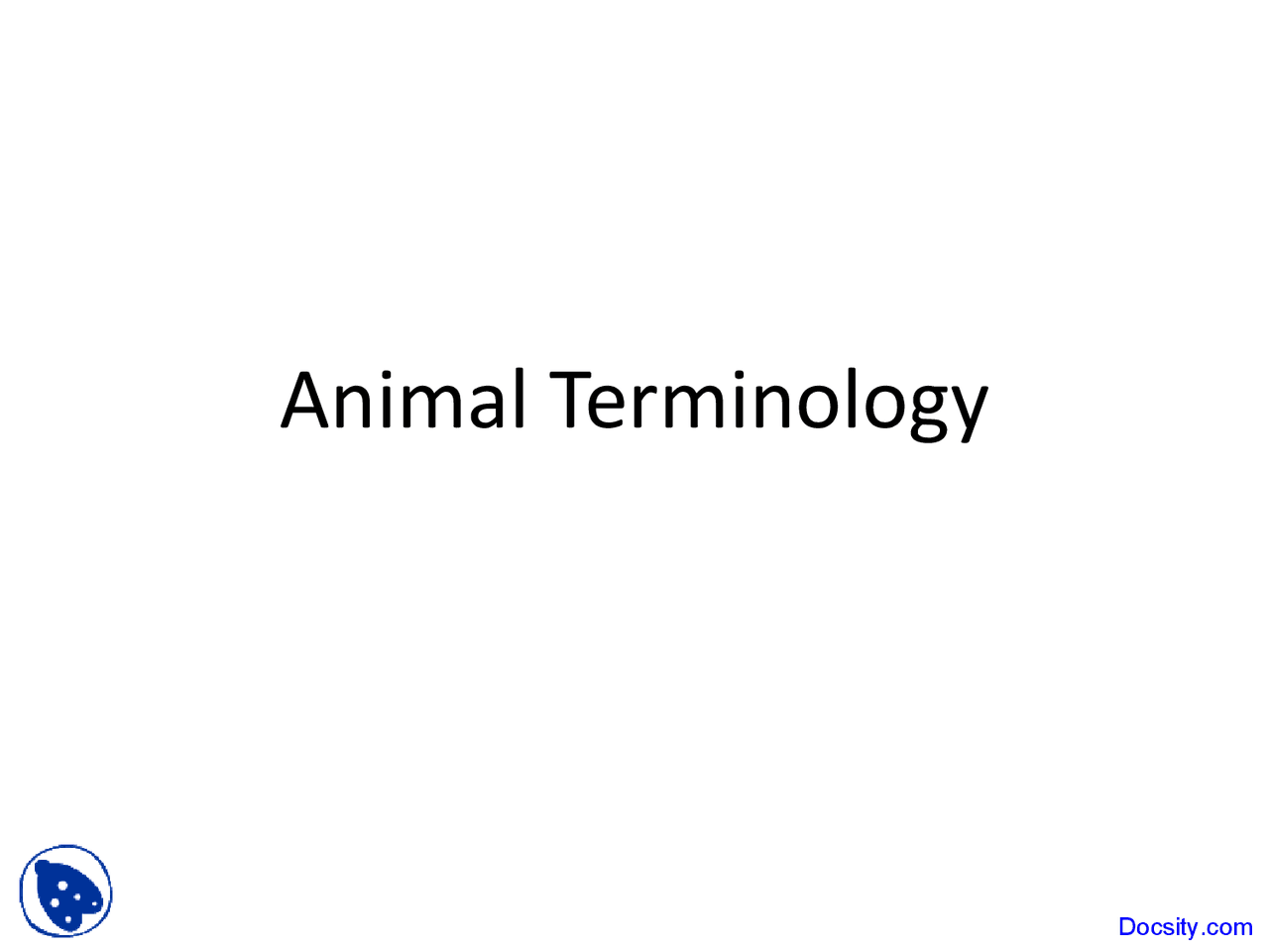 Animal Terminology - Animal Science - Lecture Slides - Docsity