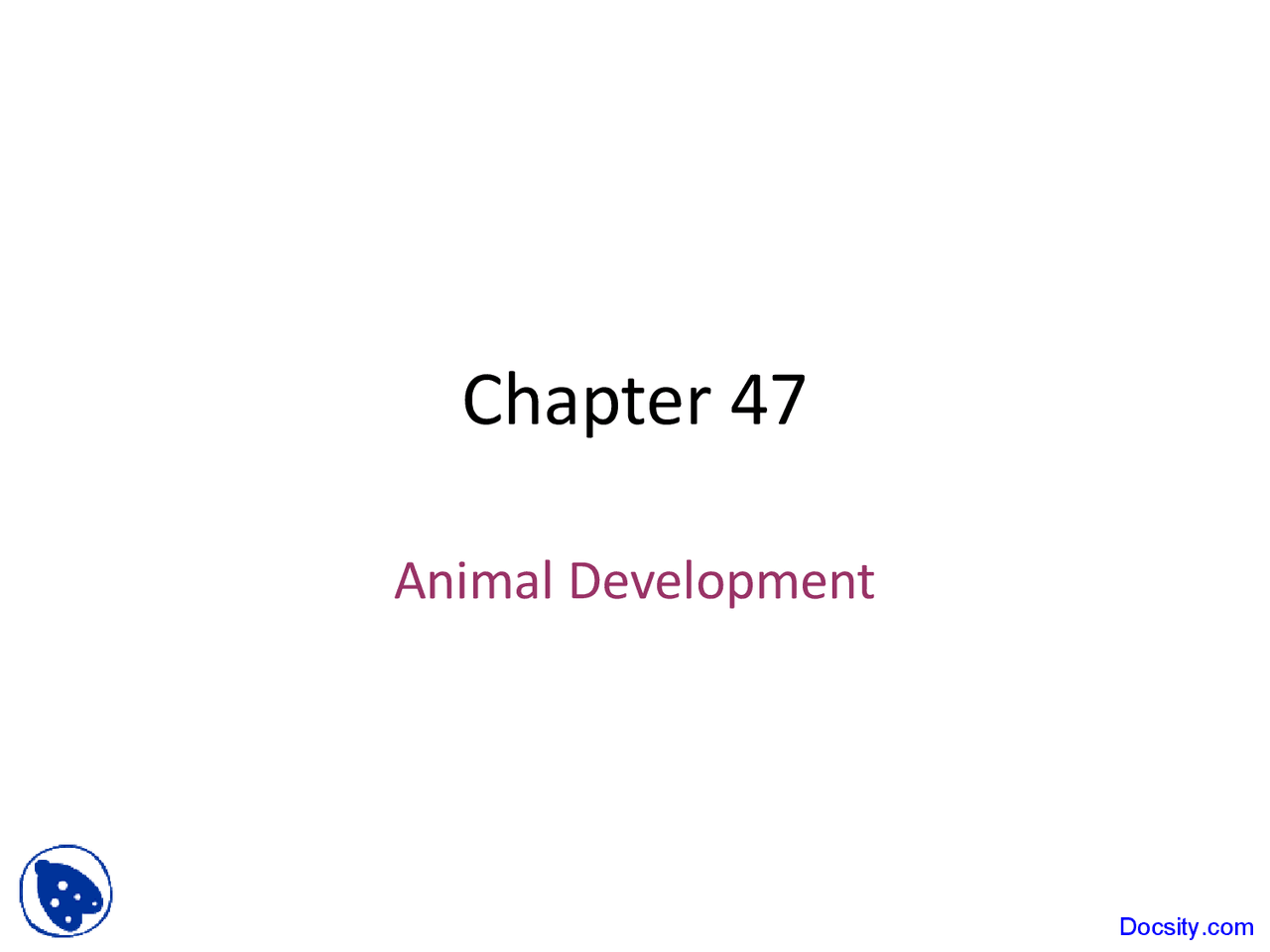 Animal Development - Fundametnals of Biology - Lecture Slides - Docsity