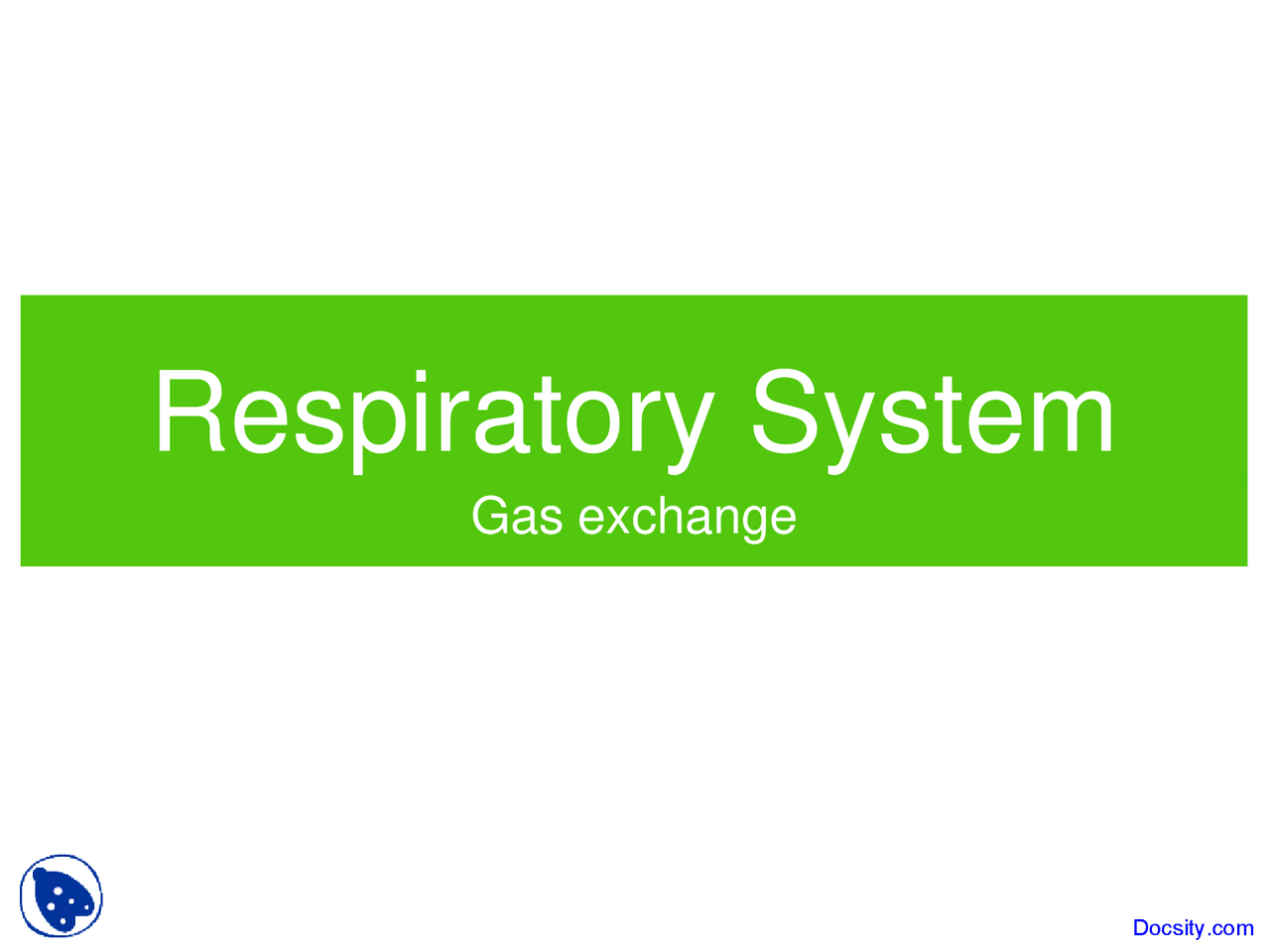 Respiratory System - General Biology Plant and Animal Systems - Lecture ...