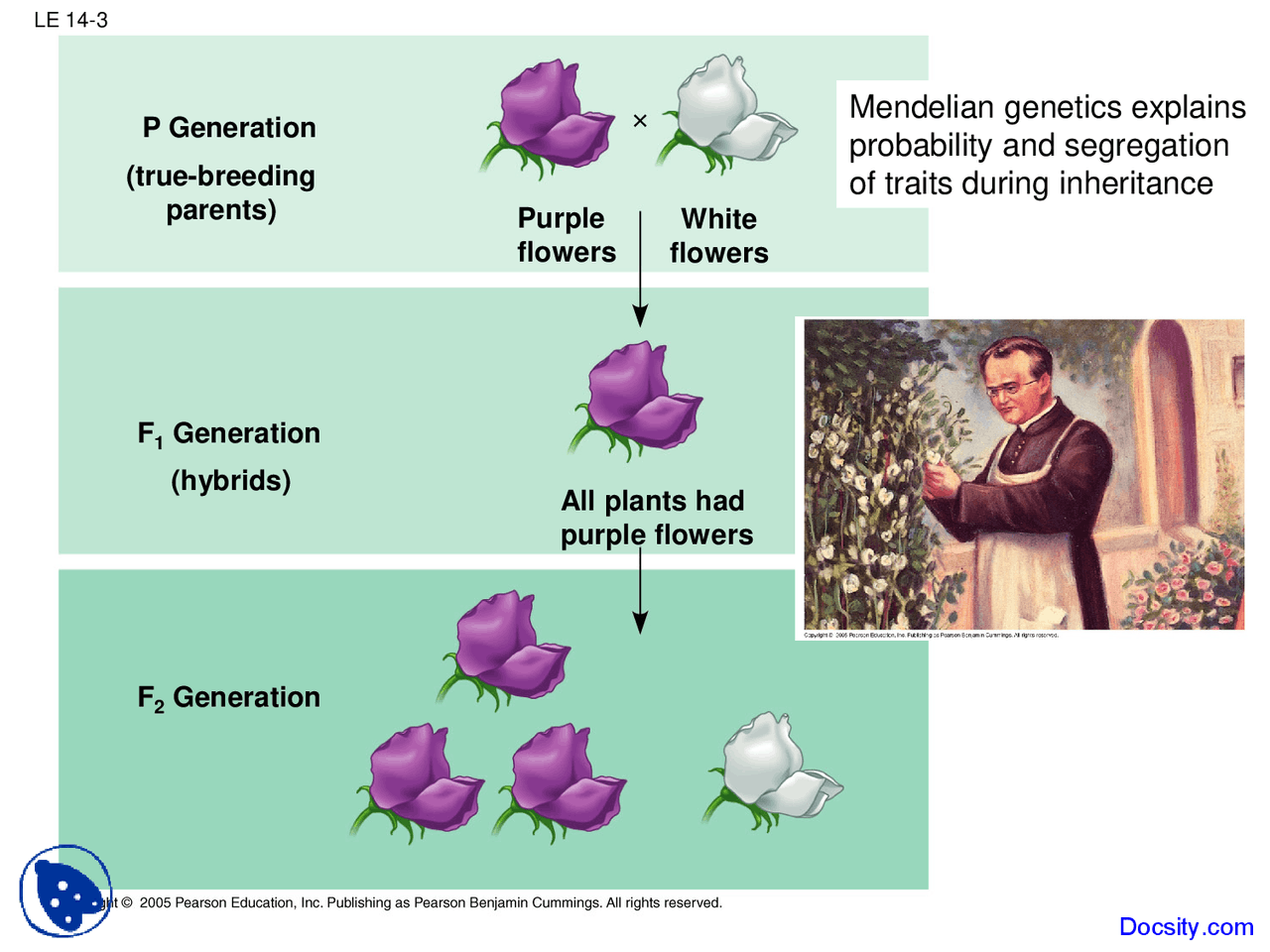 Generation Example Science Generation - Fundamentals of Biology - Lecture Slides - Docsity