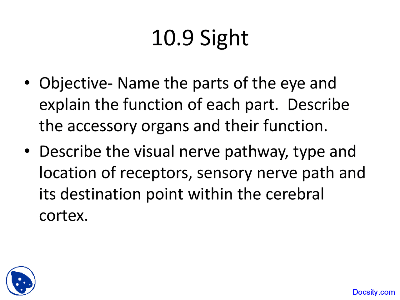 Sight - Physiology and Anatomy - Lecture Slides - Docsity