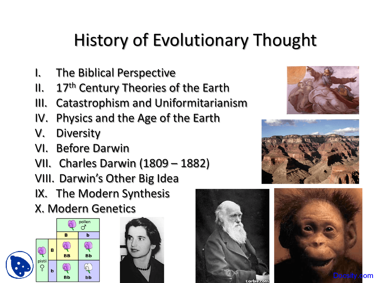 History of Evolutionary Thought Roots of Science Lecture Slides