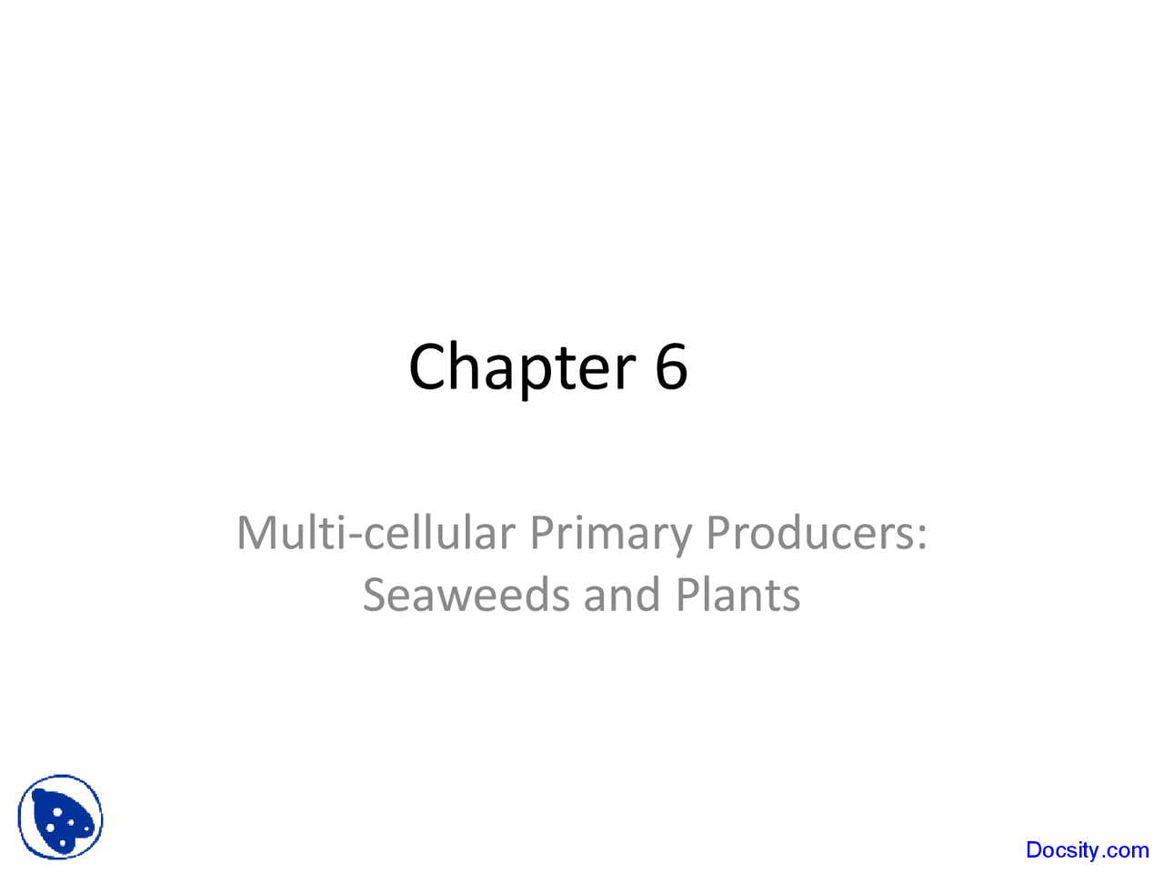Multi Cellular Primary Producers Marine Biology Lecture Slides