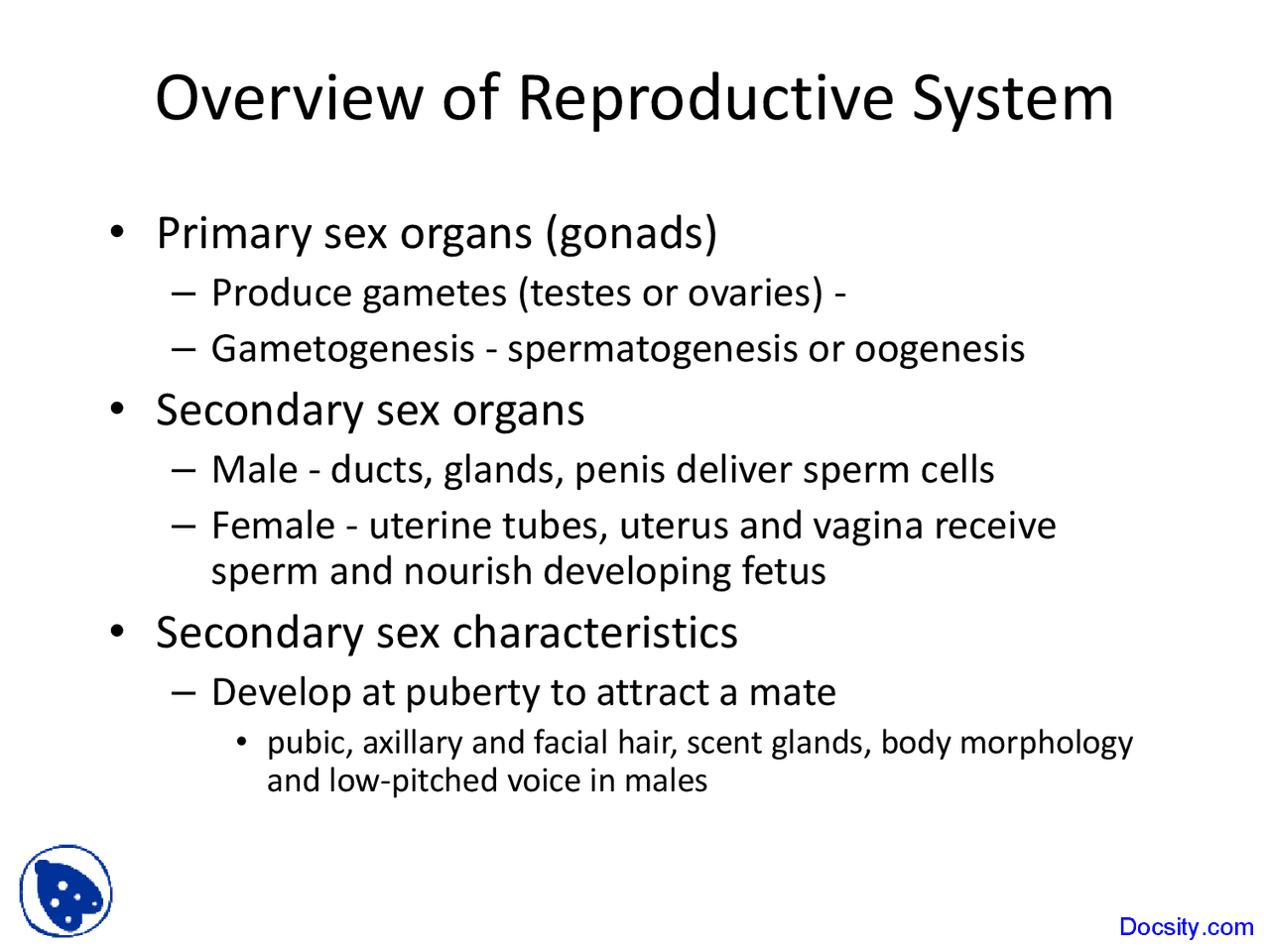 Overview of Reproductive System - Physiology and Anatomy - Lecture ...