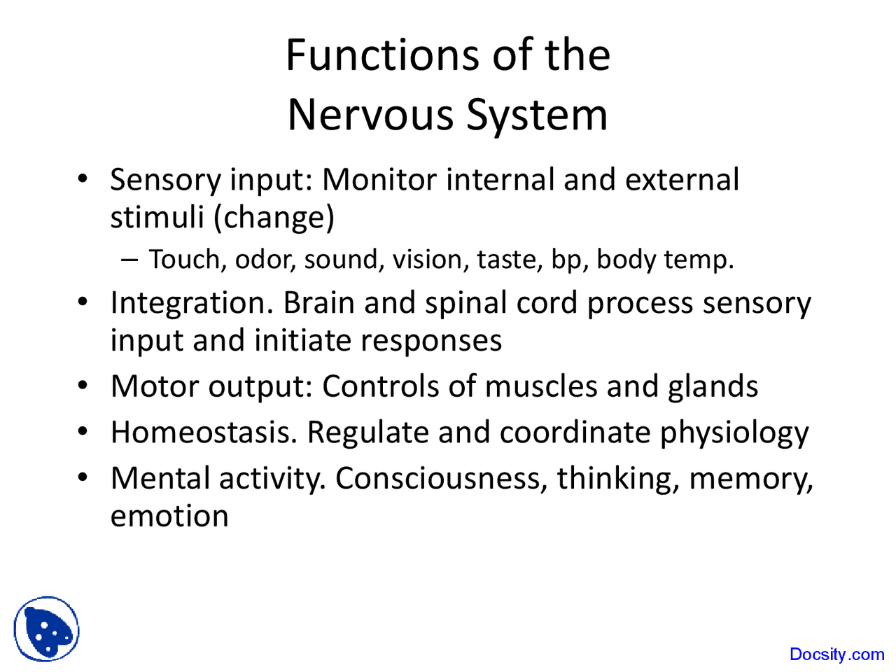 Functions of Nervous System - Physiology and Anatomy - Lecture Slides ...