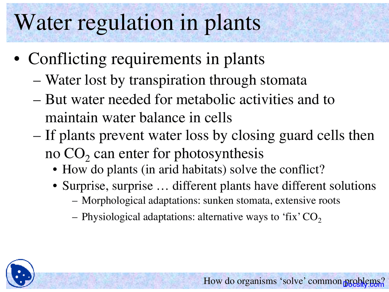 Water Regulation in Plants - Principles of Biology - Lecture Slides ...