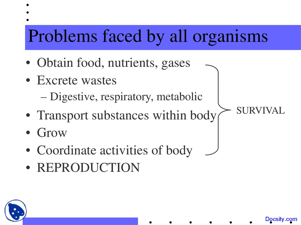 Biological Problems Examples Problems Faced by Organisms - Principles of Biology - Lecture Slides ...
