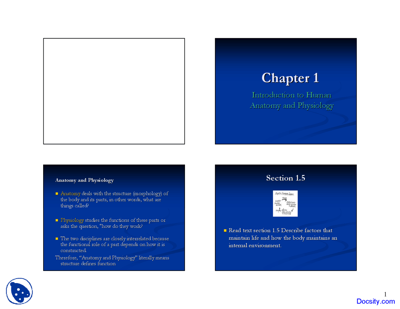 Human Anatomy And Physiology Physiology And Anatomy Lecture Slides Human Anatomy And Physiology Physiology And Anatomy Lecture Slides