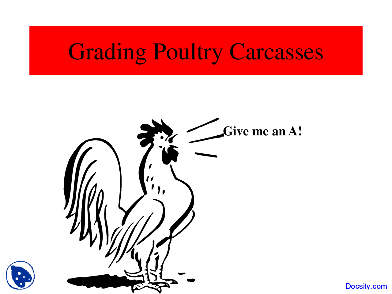 Grading Poultry Carcasses, Poultry Animal Science Lecture Slides Docsity